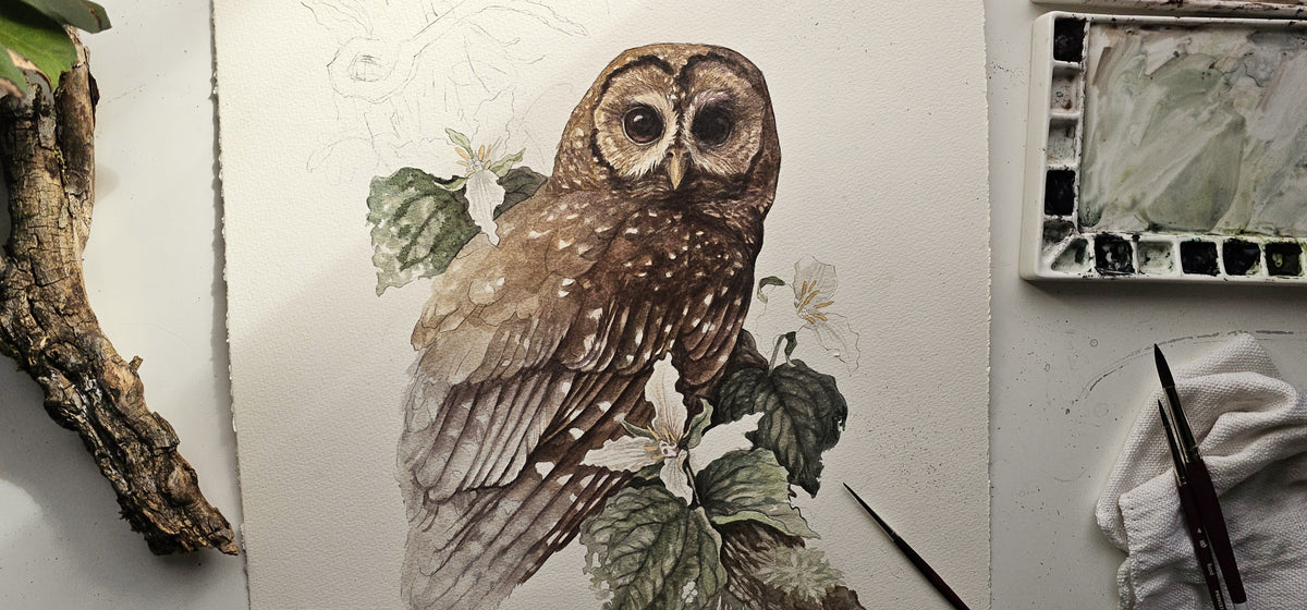 of feather & forest