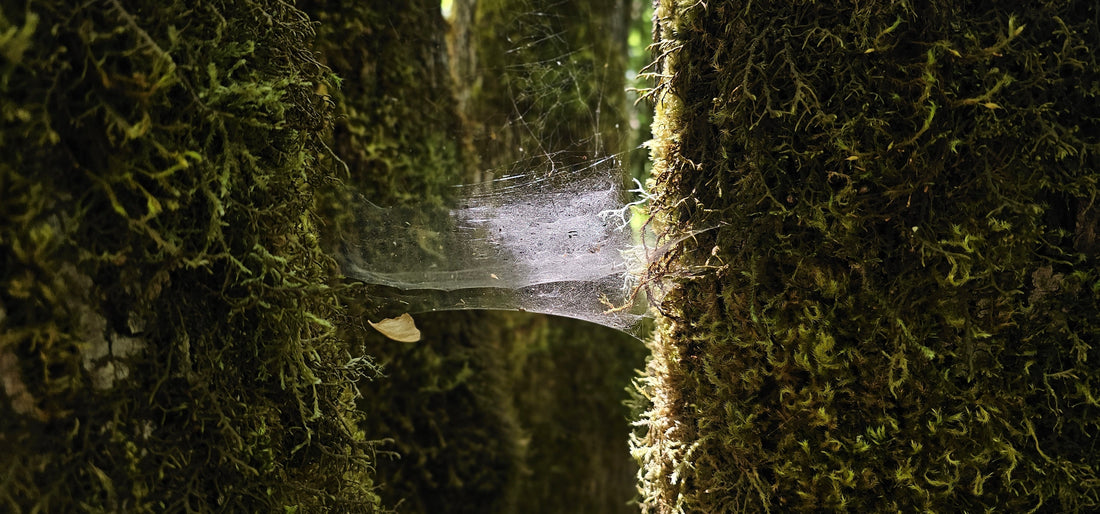 embracing discomfort