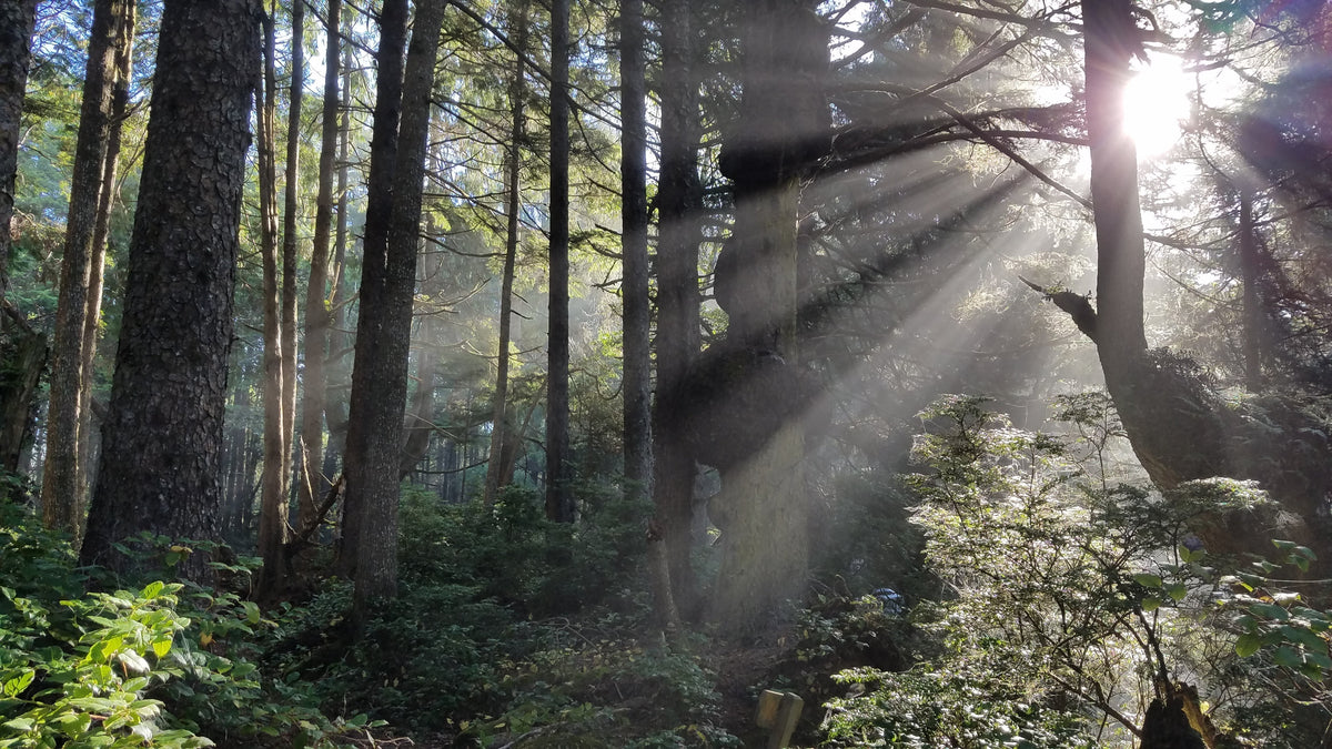 the peace of wild (and human-made) things