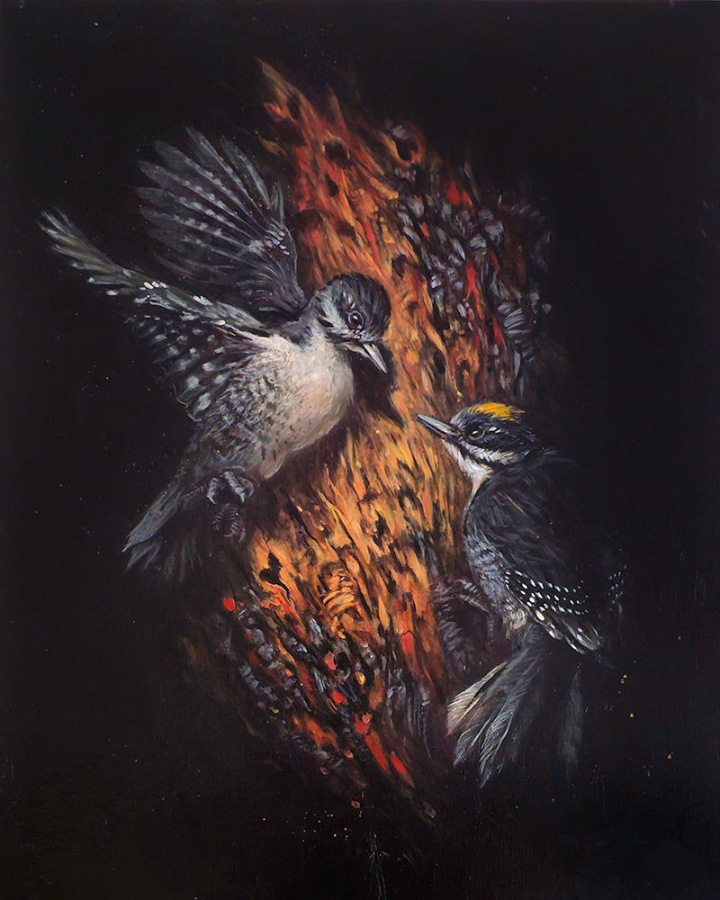 Good Fire Solo Show - Antler Gallery