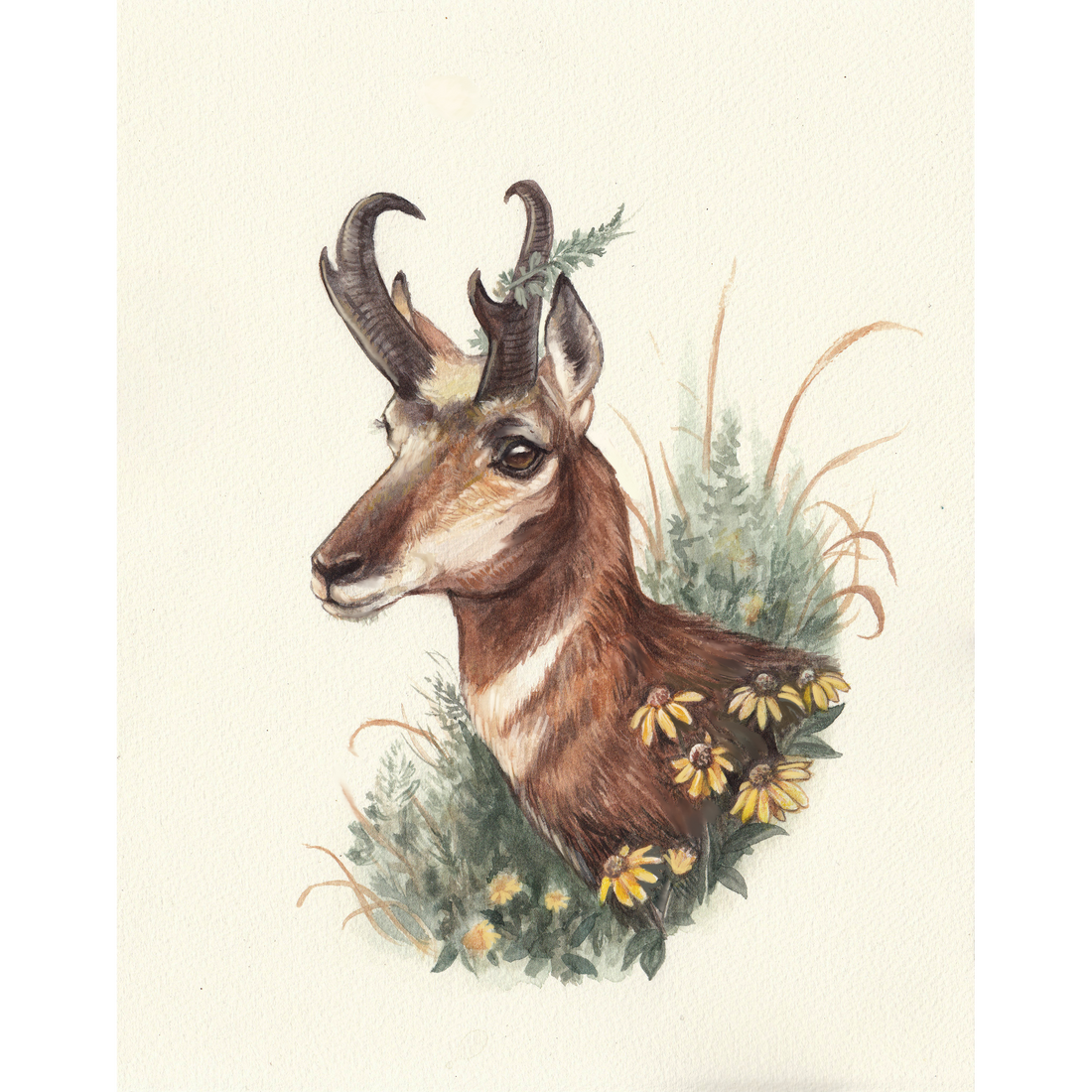 With Wild Abandon