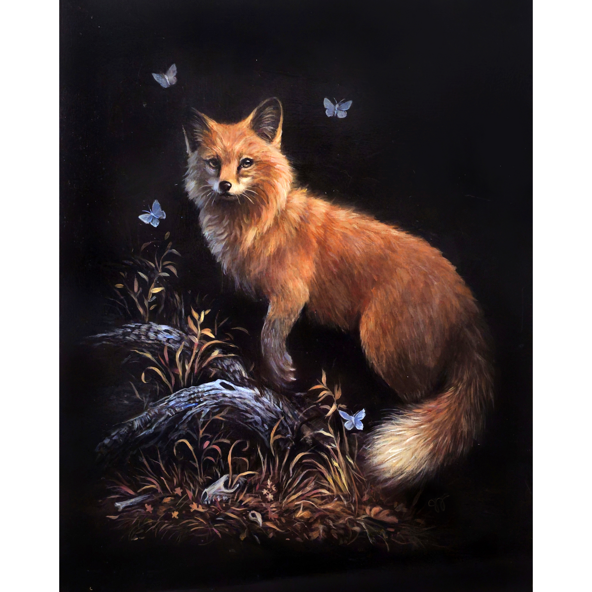 Fine Art Prints