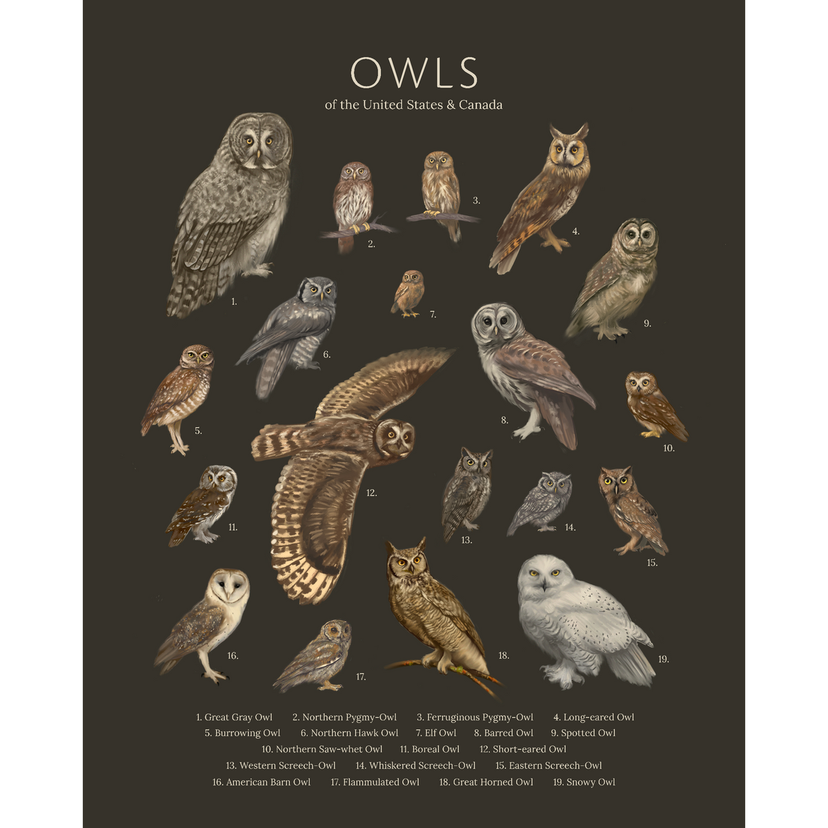 Biodiversity Posters