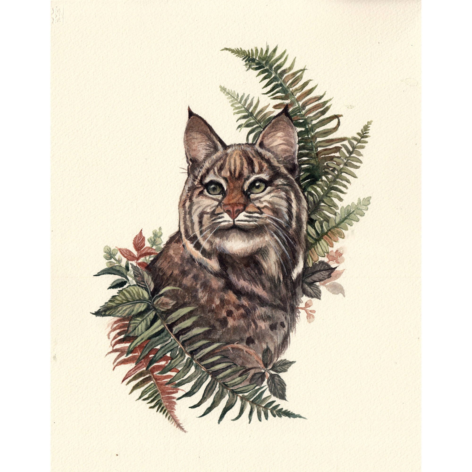Mammals