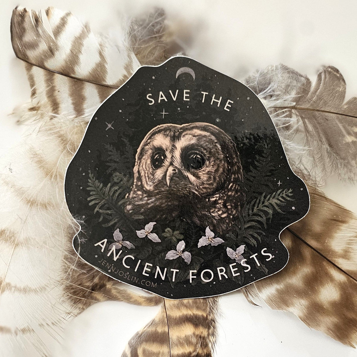 Save the Ancient Forests - Vinyl Sticker