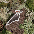 Pileated Woodpecker - Vinyl Sticker