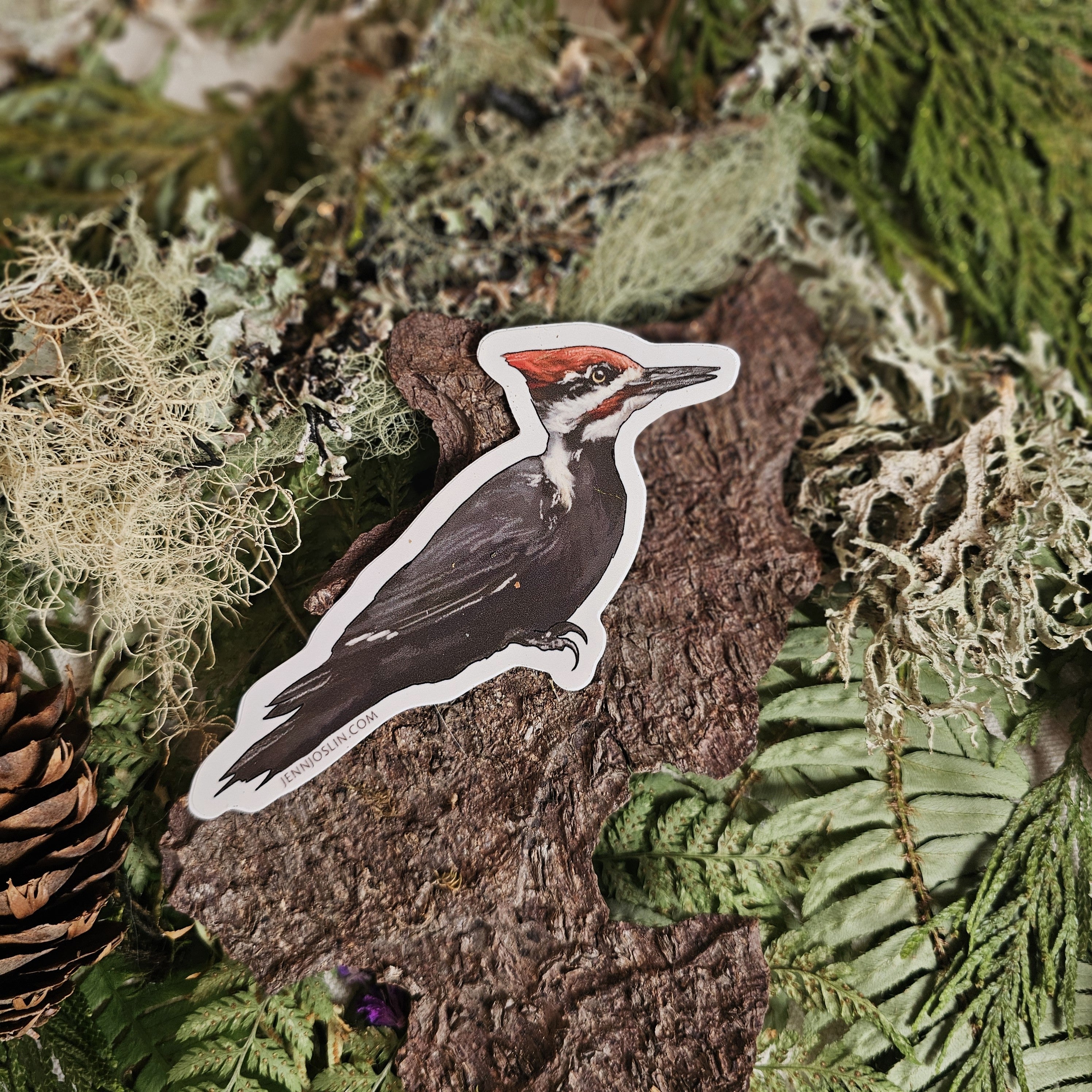Pileated Woodpecker - Vinyl Sticker