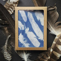 Feathers - Greeting Card Set