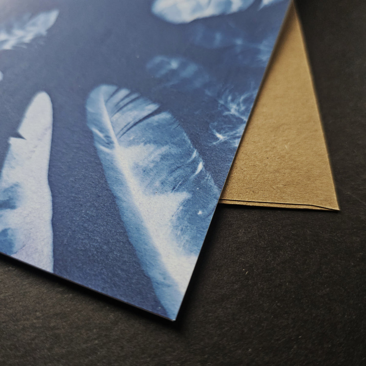 Feathers - Greeting Card Set