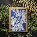 Native Ferns - Greeting Card Set