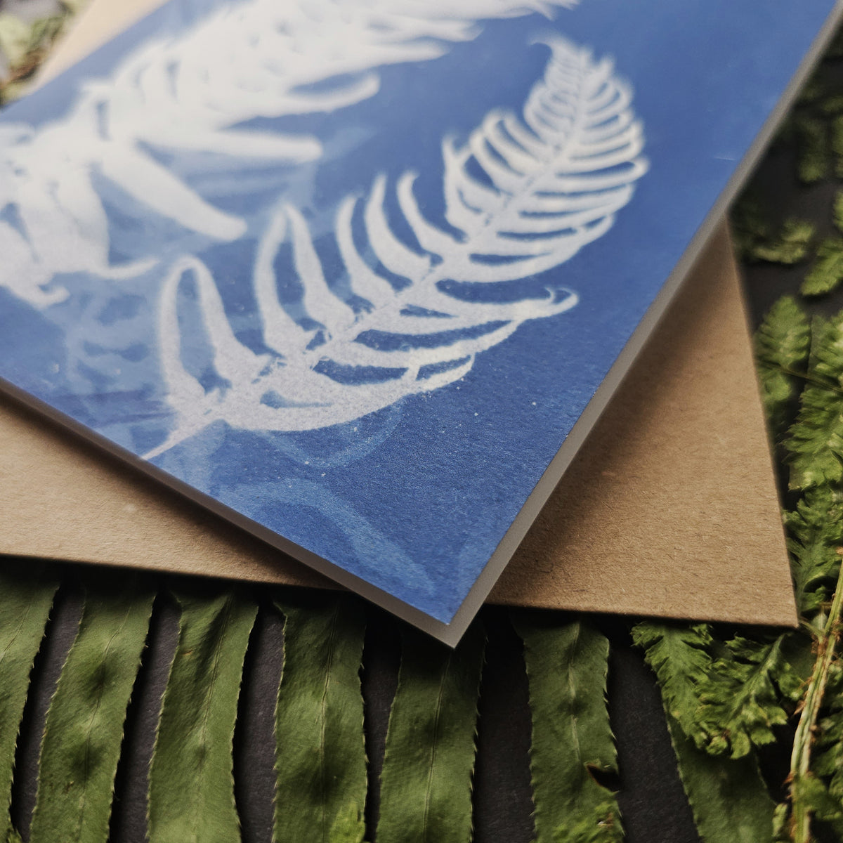 Native Ferns - Greeting Card Set