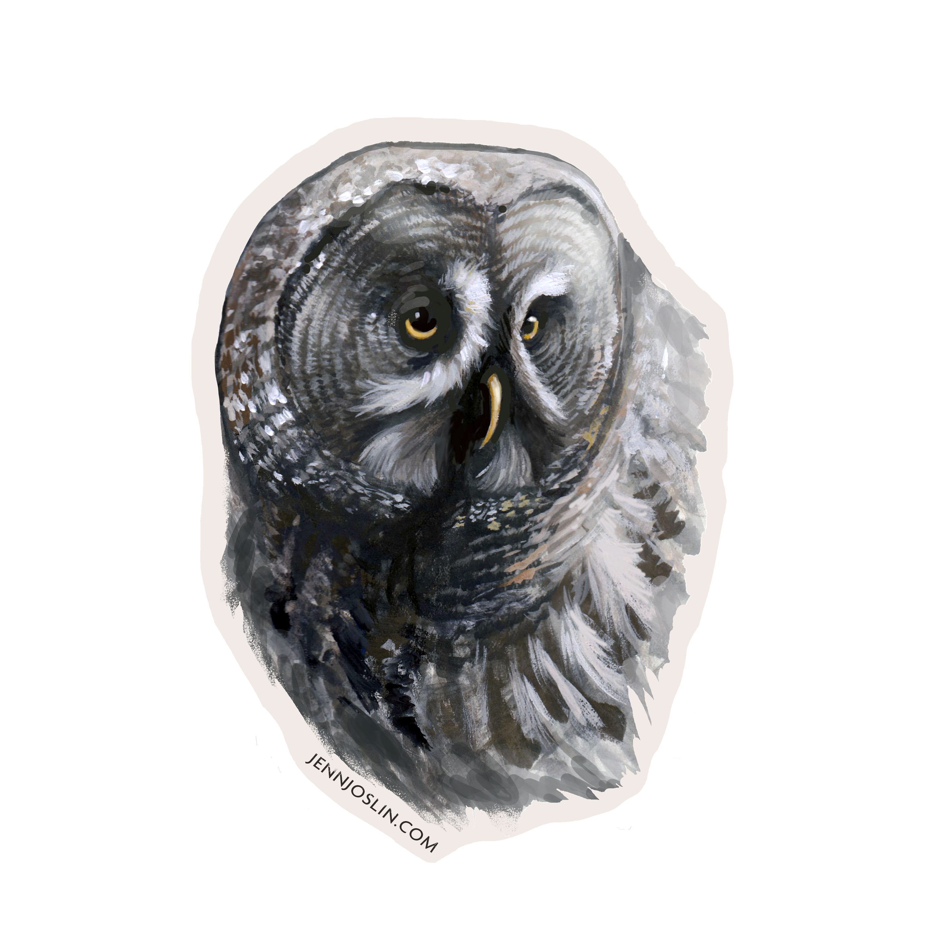 Great Gray Owl Face - Vinyl Sticker
