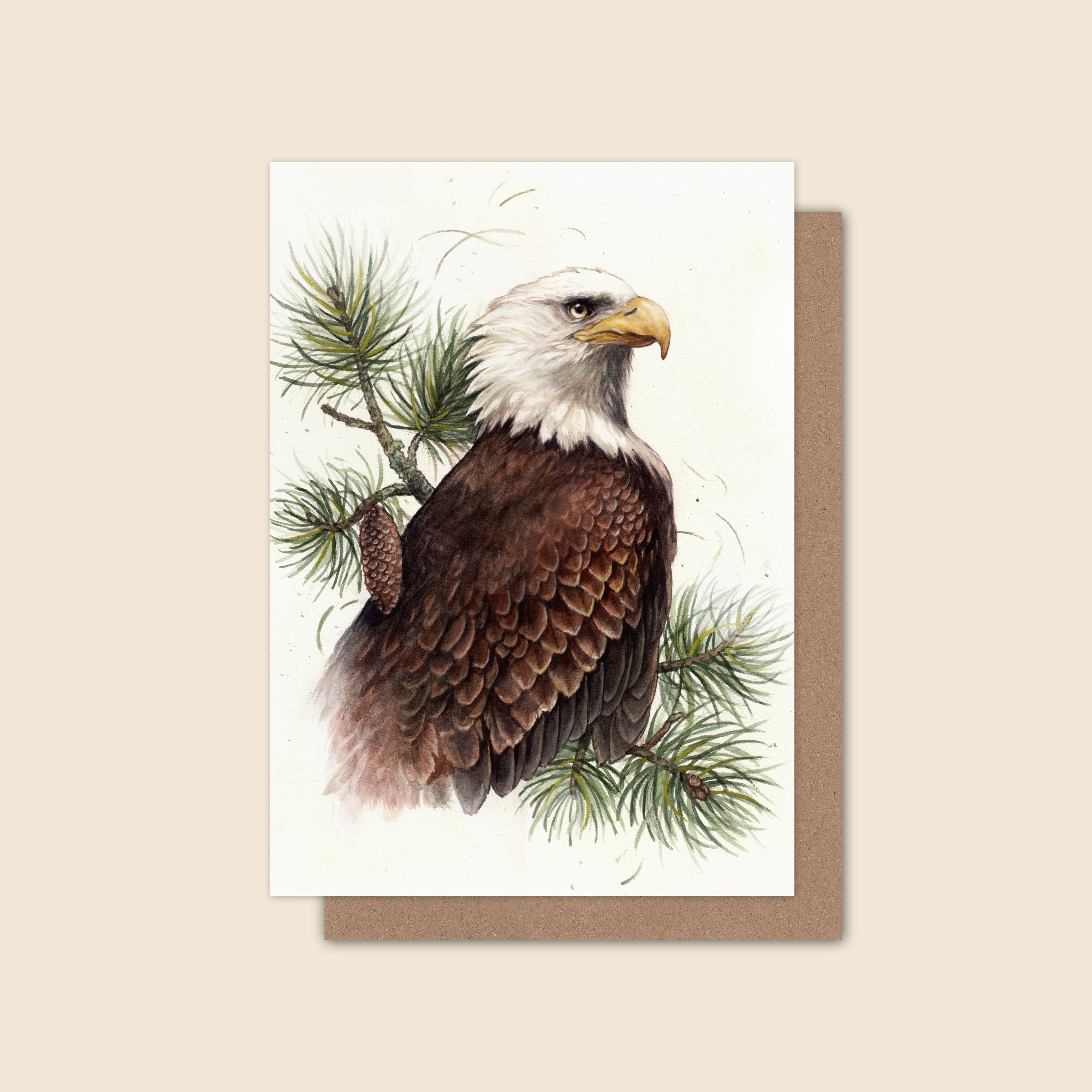 "Wish You Were Here" - Bald Eagle in Jeffrey Pine - Greeting Card