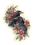 "Our Wild Hearts" - American Crows with Roses - Vinyl Sticker