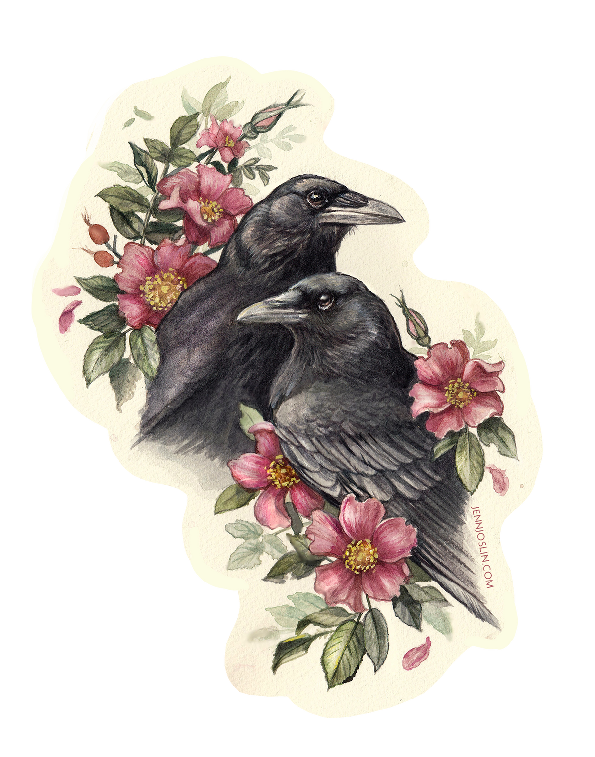 "Our Wild Hearts" - American Crows with Roses - Vinyl Sticker