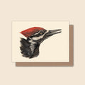 Pileated Woodpecker - Greeting Card