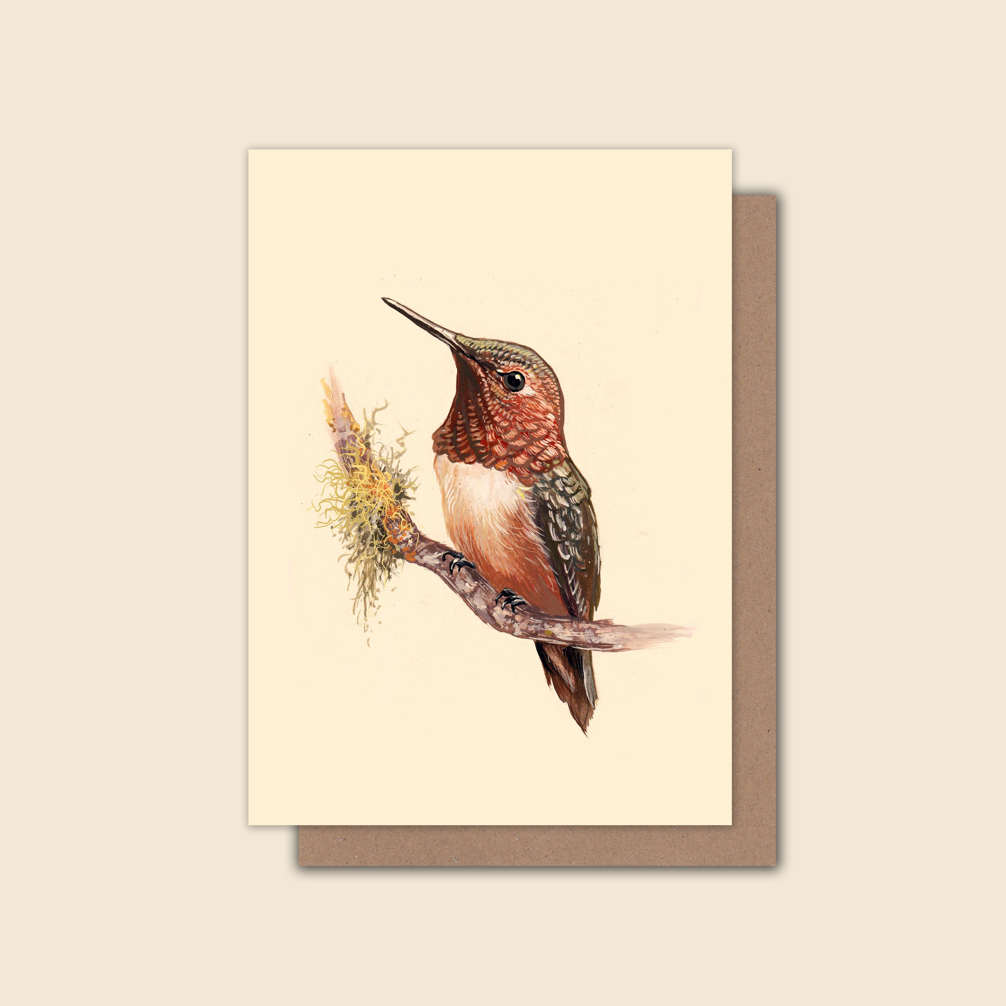 Rufous Hummingbird - Greeting Card