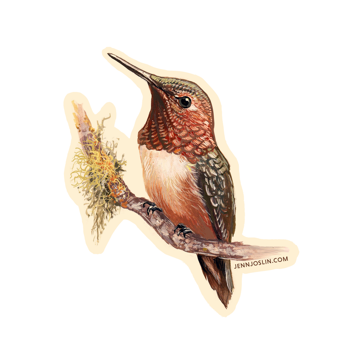 Rufous Hummingbird - Vinyl Sticker