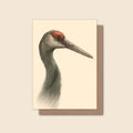 Sandhill Crane - Greeting Card