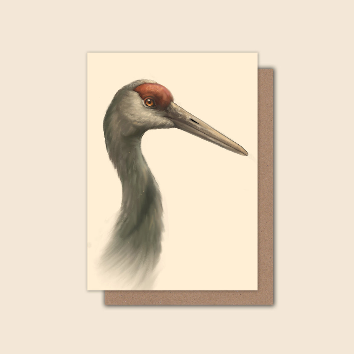 Sandhill Crane - Greeting Card