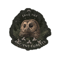 Save the Ancient Forests - Vinyl Sticker
