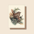 Pacific Wren With Lichen - Greeting Card