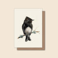 Black Phoebe - Greeting Card