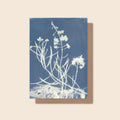 Fireweed - Greeting Card