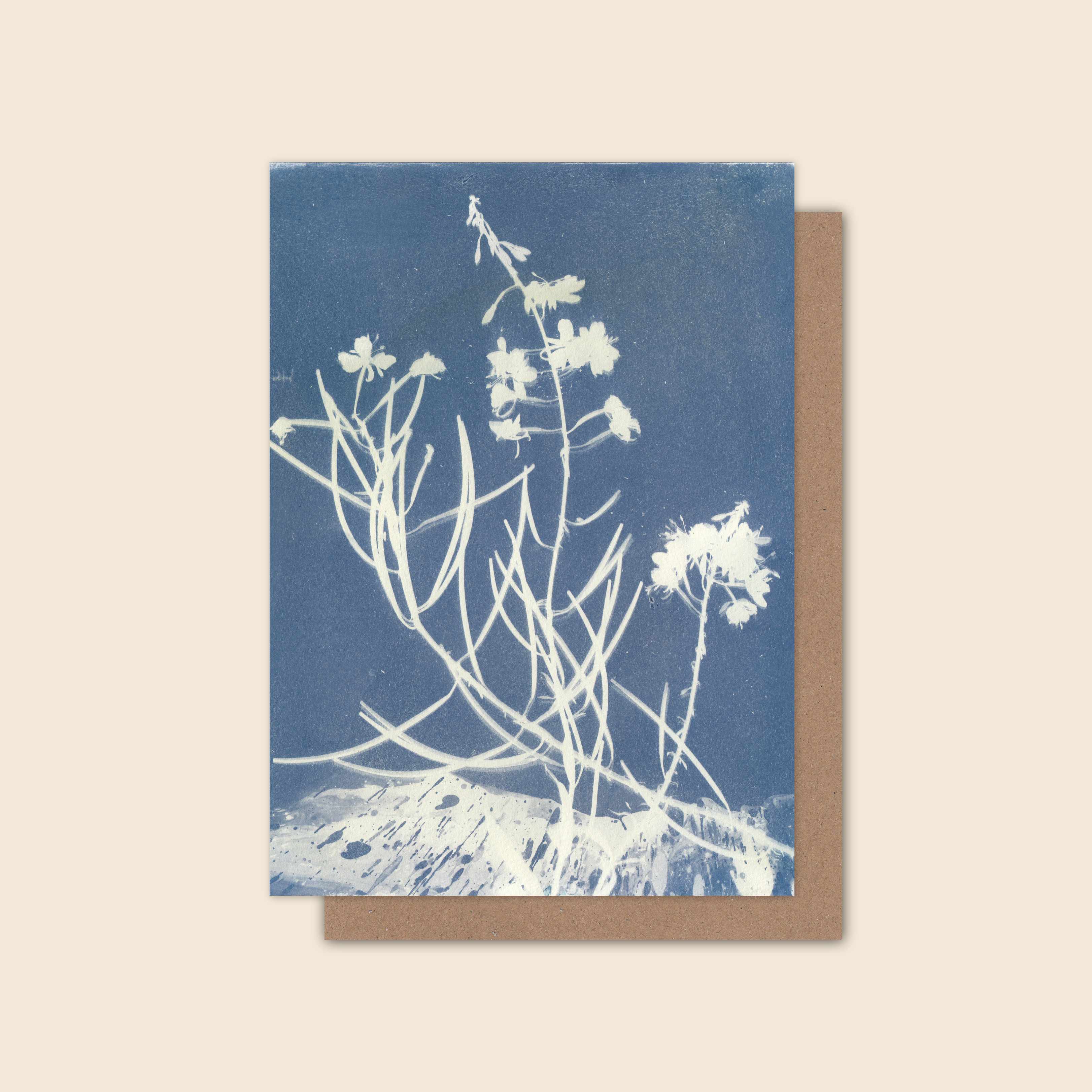 Fireweed - Greeting Card