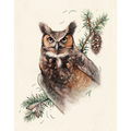 Great Horned Owl and Doug Fir - Fine Art Print