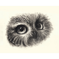 "My New Eyes Saw The Old Things" - Fine Art Print