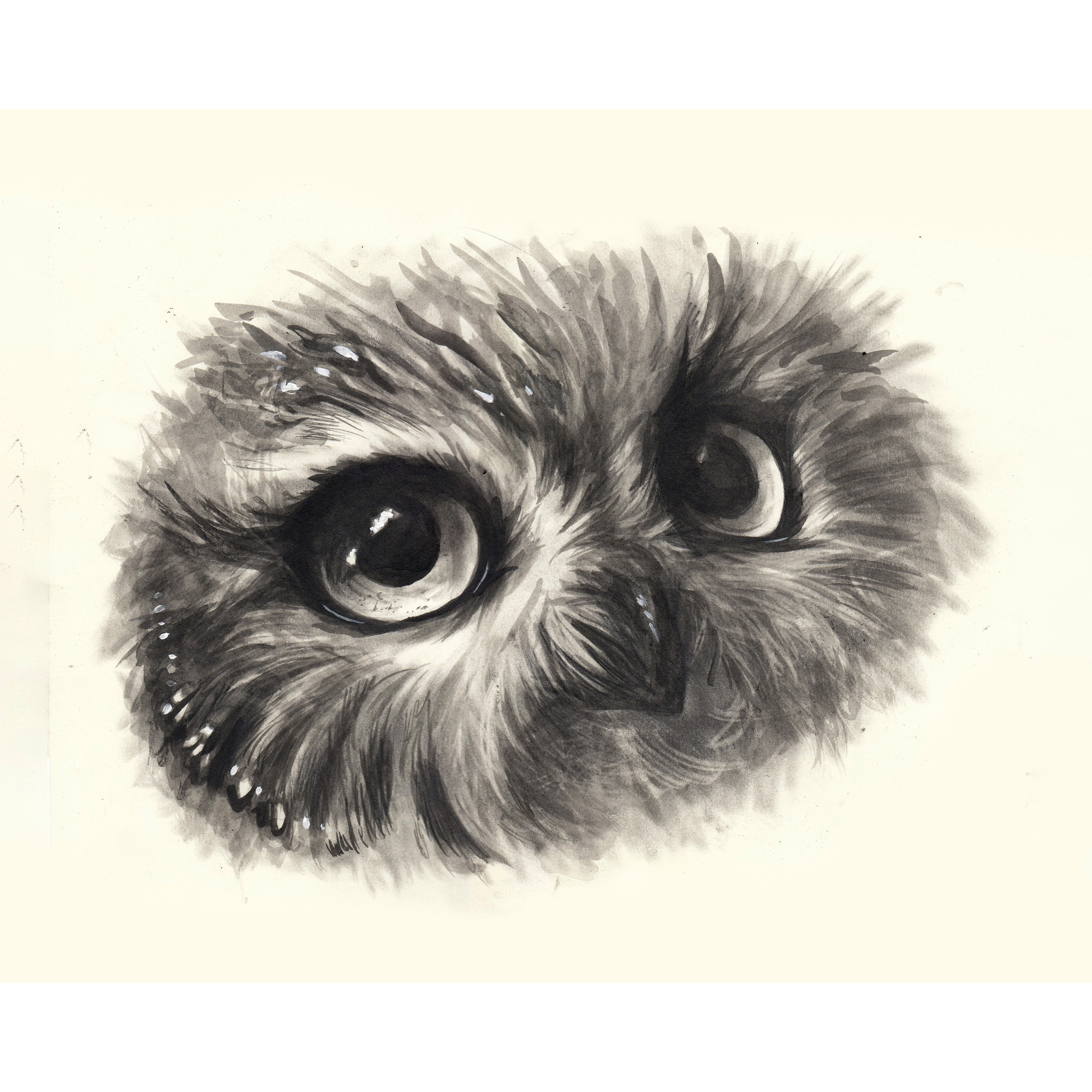 "My New Eyes Saw The Old Things" - Fine Art Print