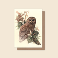 "Of Feather & Forest" - Northern Spotted Owl - Greeting Card