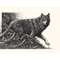 "Once There Were Wolves" - Fine Art Print