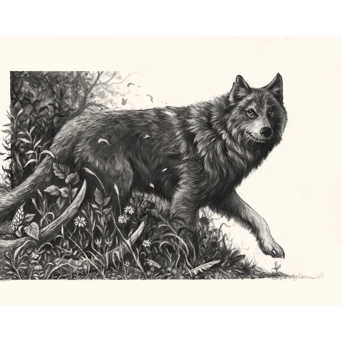 "Once There Were Wolves" - Fine Art Print
