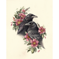 "Our Wild Hearts" - American Crows with Roses - Fine Art Print