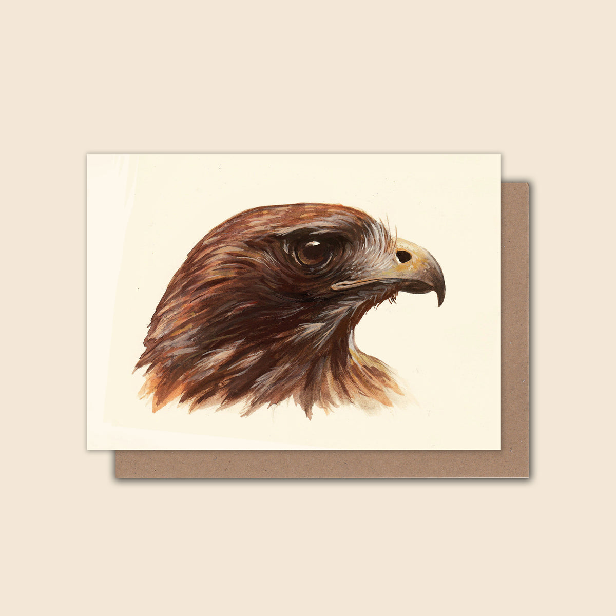 Red-tailed Hawk - Greeting Card