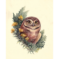 "Sagebrush Sentinel" - Burrowing Owl - Fine Art Print