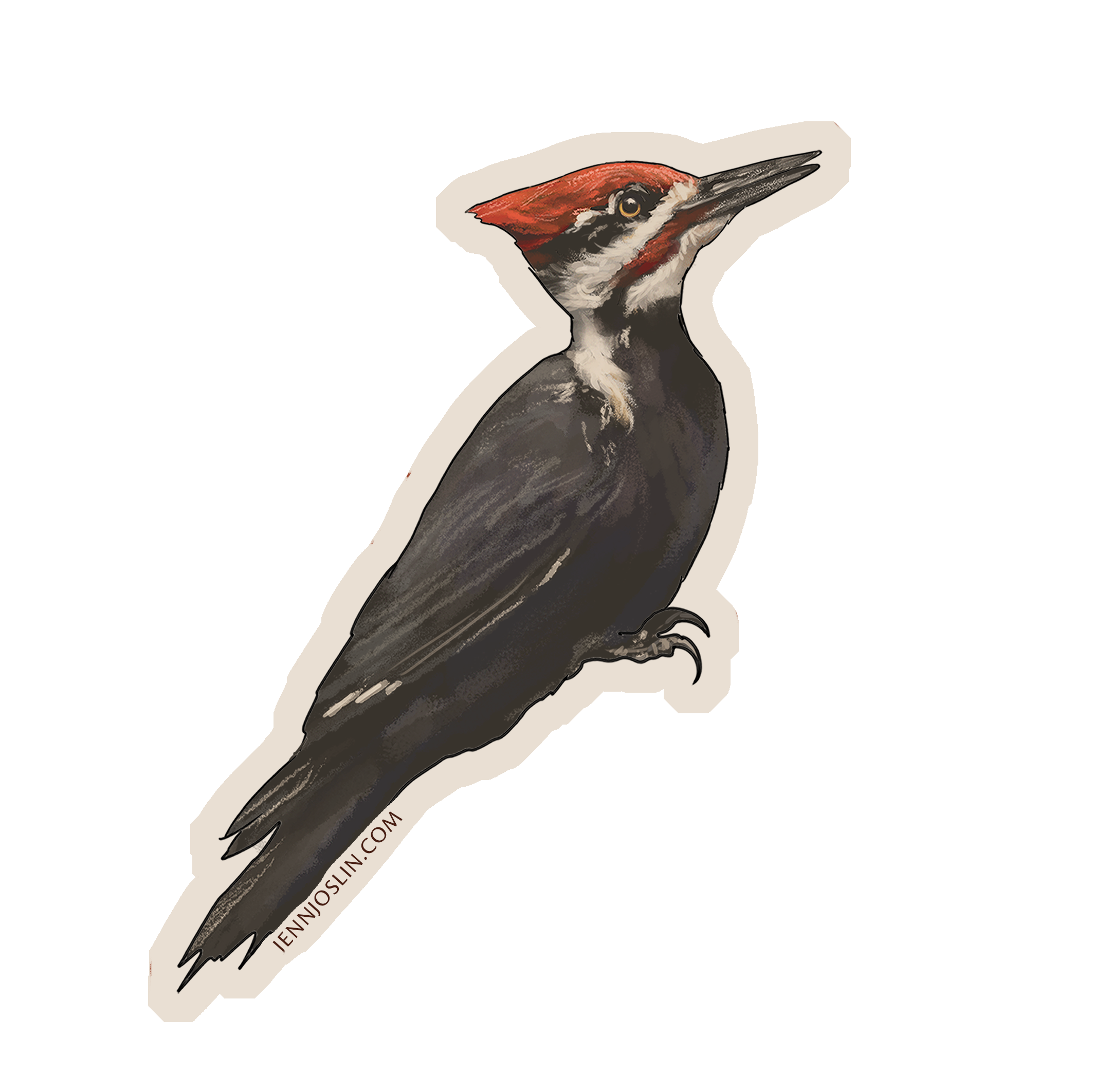 Pileated Woodpecker - Vinyl Sticker