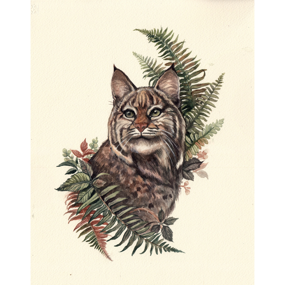 "Untamed Love" - Bobcat - Fine Art Print