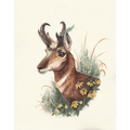 "With Wild Abandon" - American Pronghorn - Fine Art Print
